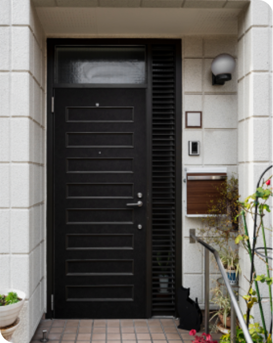 Modern black door